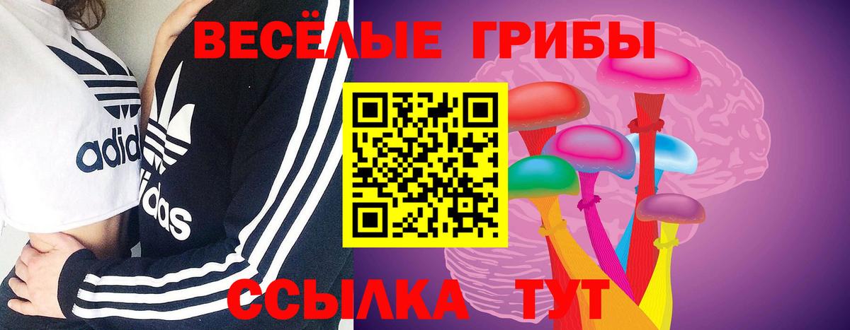 Галлюциногенные грибы Cubensis Электрогорск