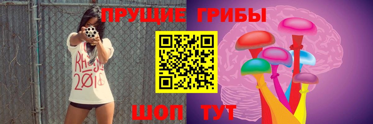 где можно купить наркотик  Псилоцибиновые грибы ЛСД  Вход с VPN  Электрогорск 
